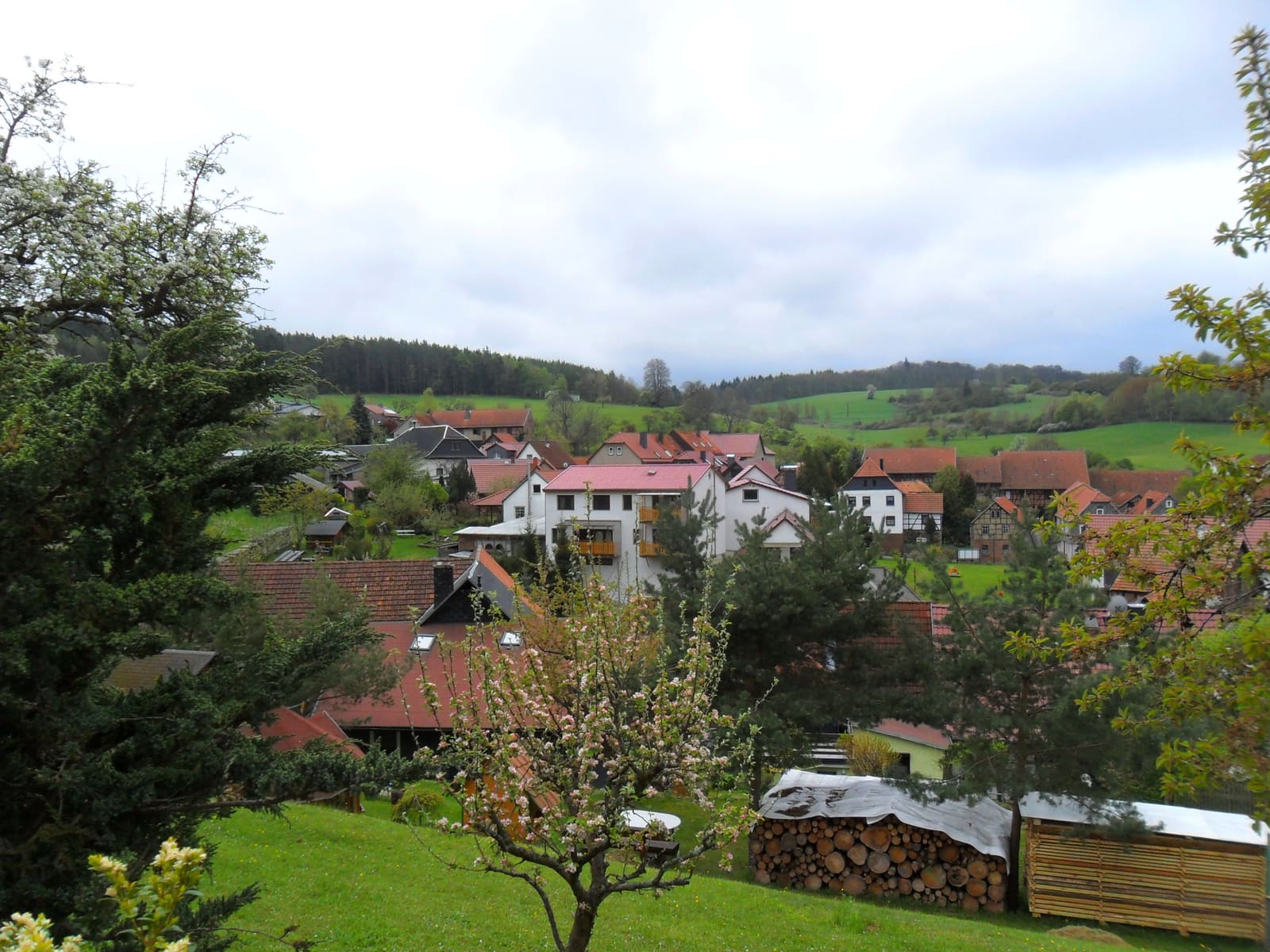 Blick über die Dächer von Bechstedt auf die bewaldeten Hänge des Schwarzatals