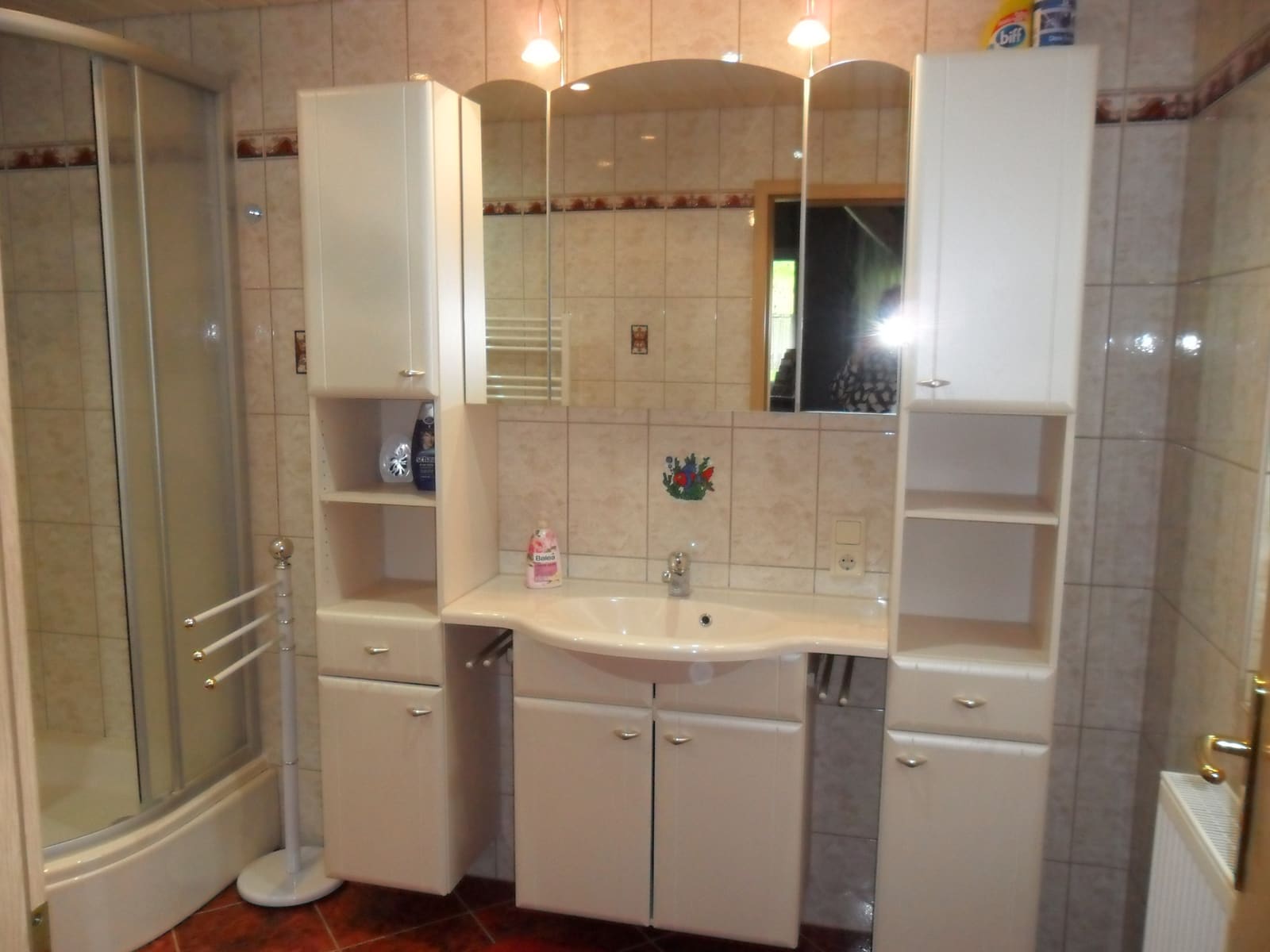 Badezimmer der Ferienwohnung mit Waschtisch, großem Spiegelschrank und Dusche